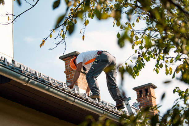 Best Emergency Roof Repair  in Beattyville, KY